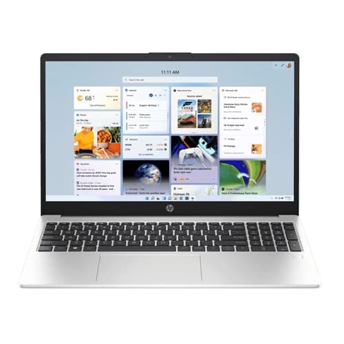 HP 250R G10 C91W6AT Laptop (Intel Core 3-100U/Silver)